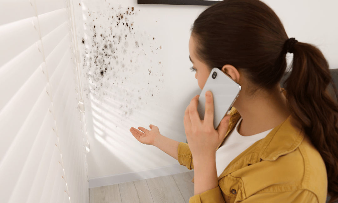 woman calling for mold inspection