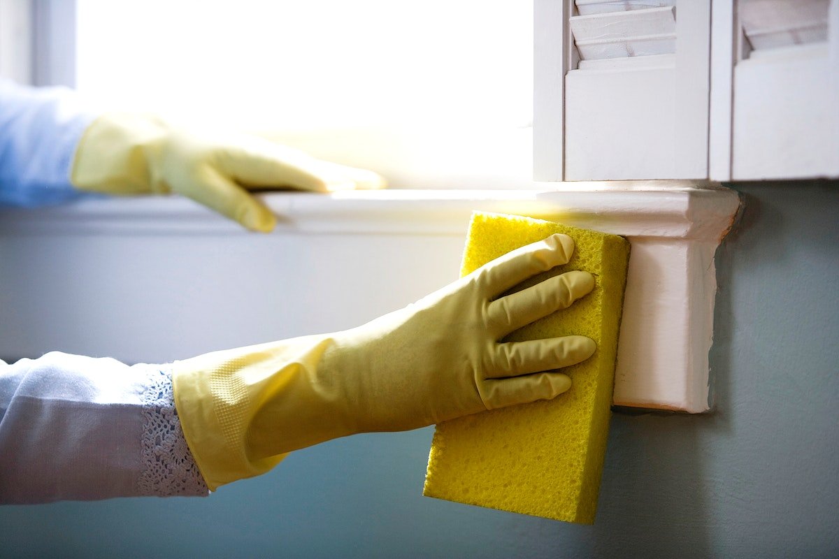 Mold Remediation Cleanup Cost