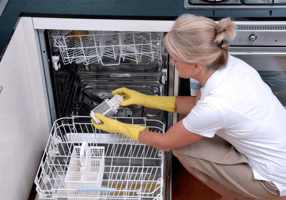cleaning moldy dishwasher