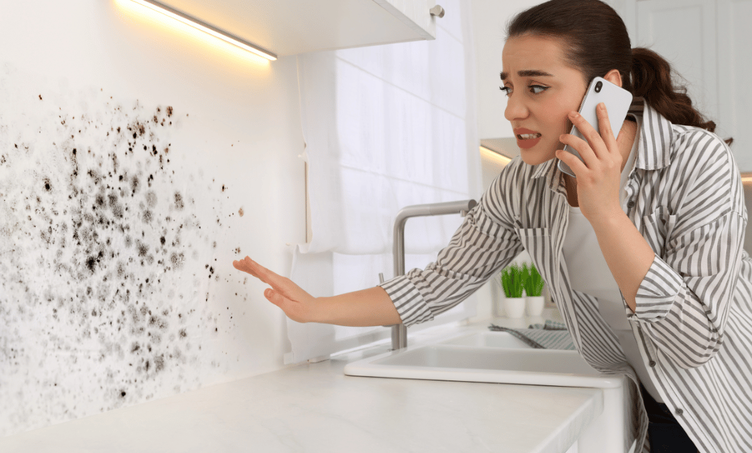 urgent need for mold removal