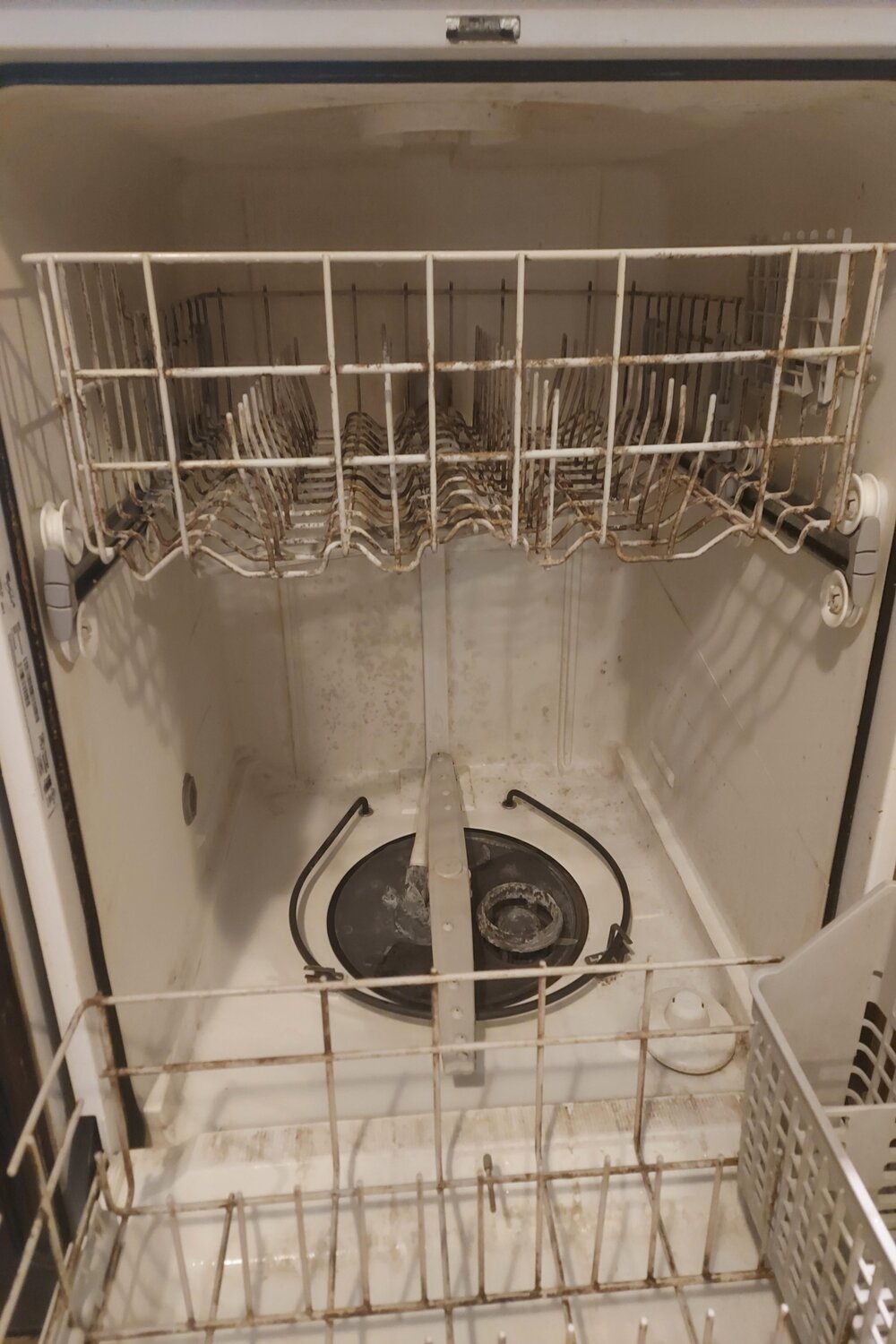 moldy dish washer