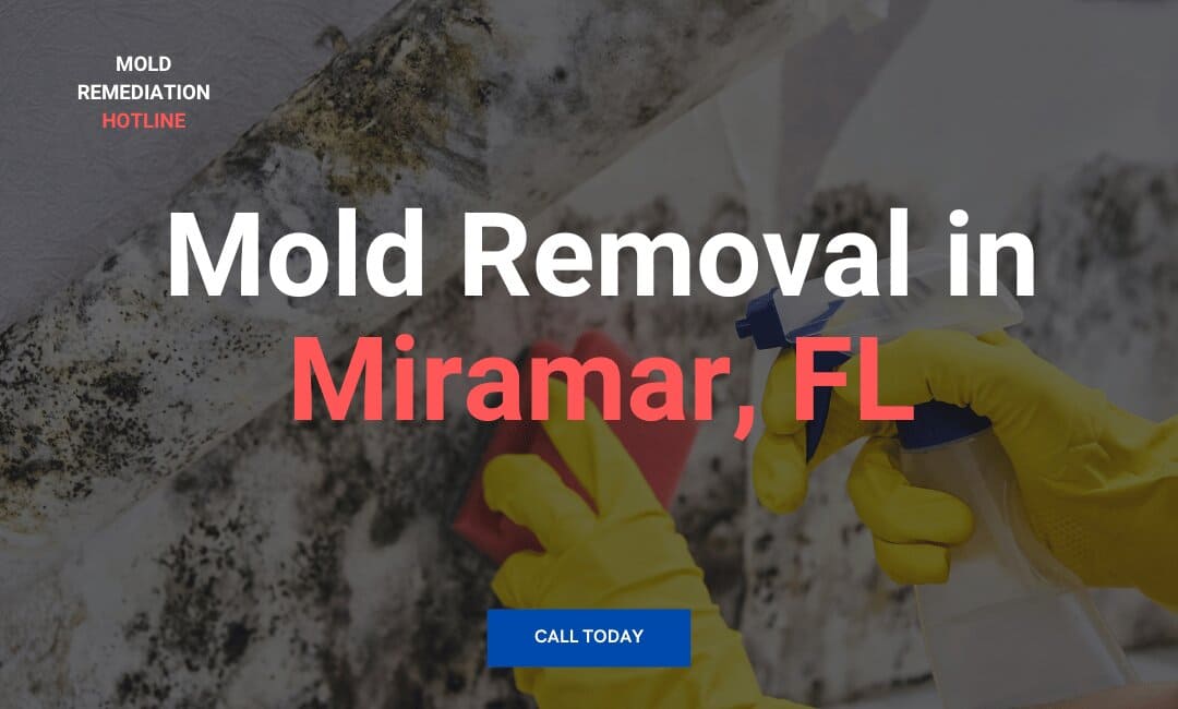 Mold_Removal_Service_in_Miramar_FL