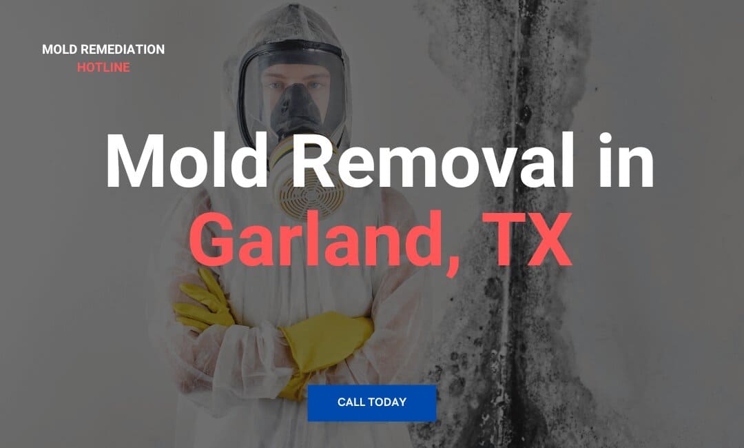 Mold_Removal_in_Garland_TX