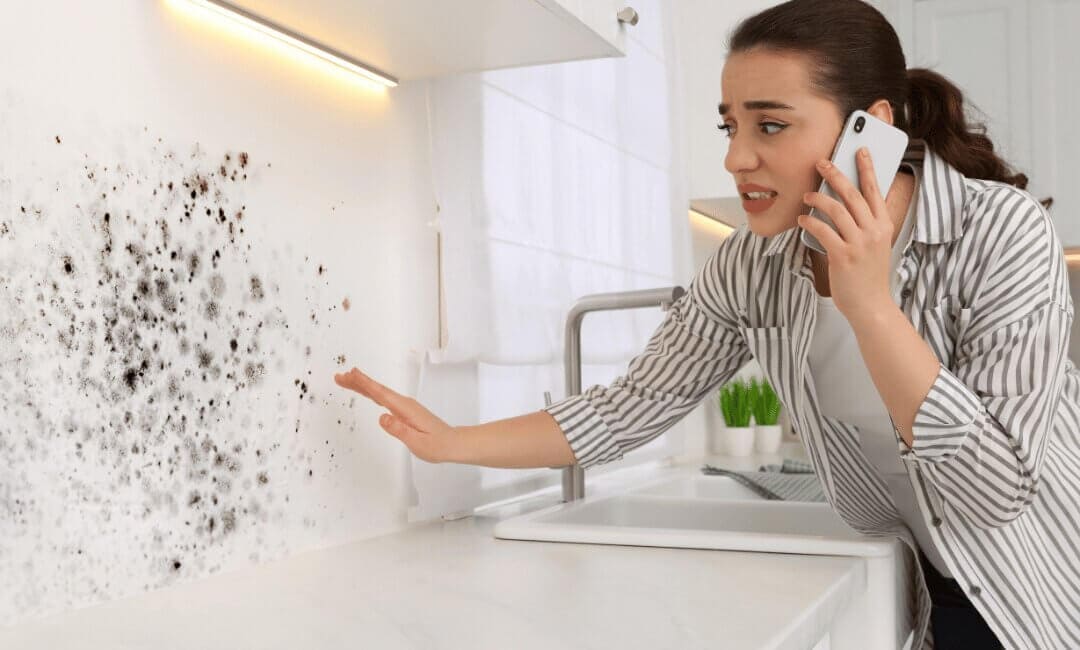 urgent_need_for_mold_removal_in_garland_tx